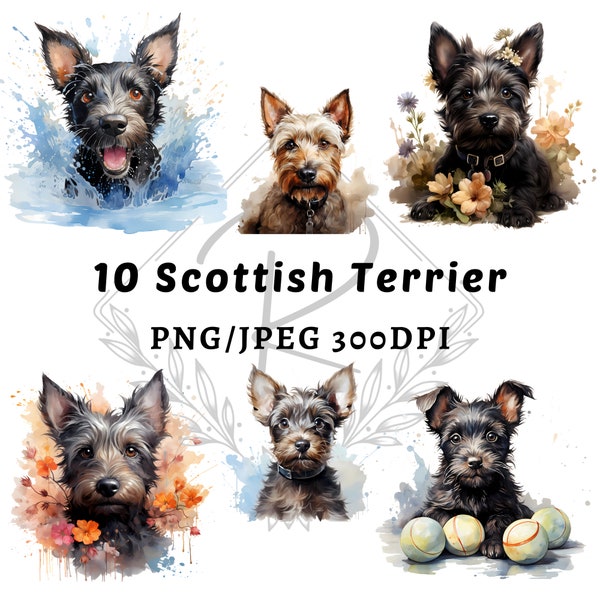 Scottish Terrier Dog Breed Clipart| 10 High-Quality PNG Watercolor Scottish Terrier Clipart | Sublimation designs | Dog Mom | 1