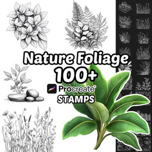 Natur Laub Procreate Pinsel | 100+ Procreate Natur Laubstempel | Blätter | Botanische Procreate | Natur | Hintergrund | Wildes Gras