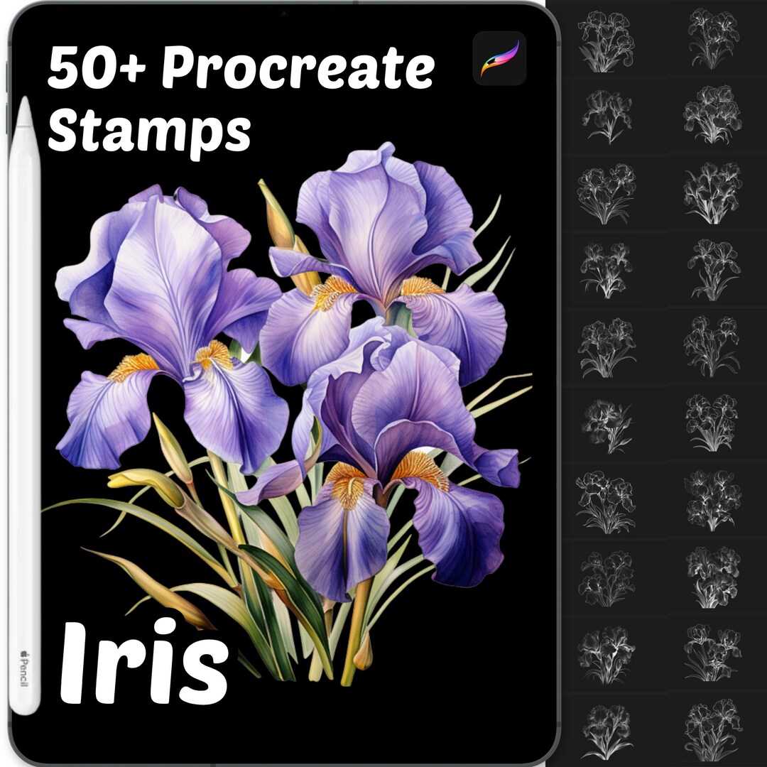 Iris Floral Procreate Stamps | 50+ Procreate Floral Stamps | Procreate ...