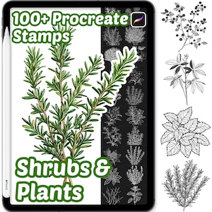 Shrubs and Plants Procreate Brushes | 100+ Procreate Plants Stamps | Procreate Brushes | Leaves Procreate | Botanical Procreate | Nature