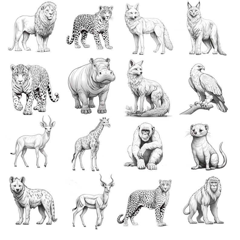 Safari Animals Procreate Stamps | 100 Jungle Animal Procreate Brushes ...