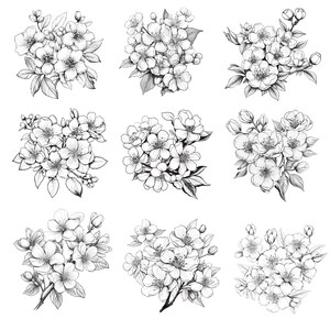 Cherry Blossom Procreate Stamps | 100+ Procreate Floral Stamps ...