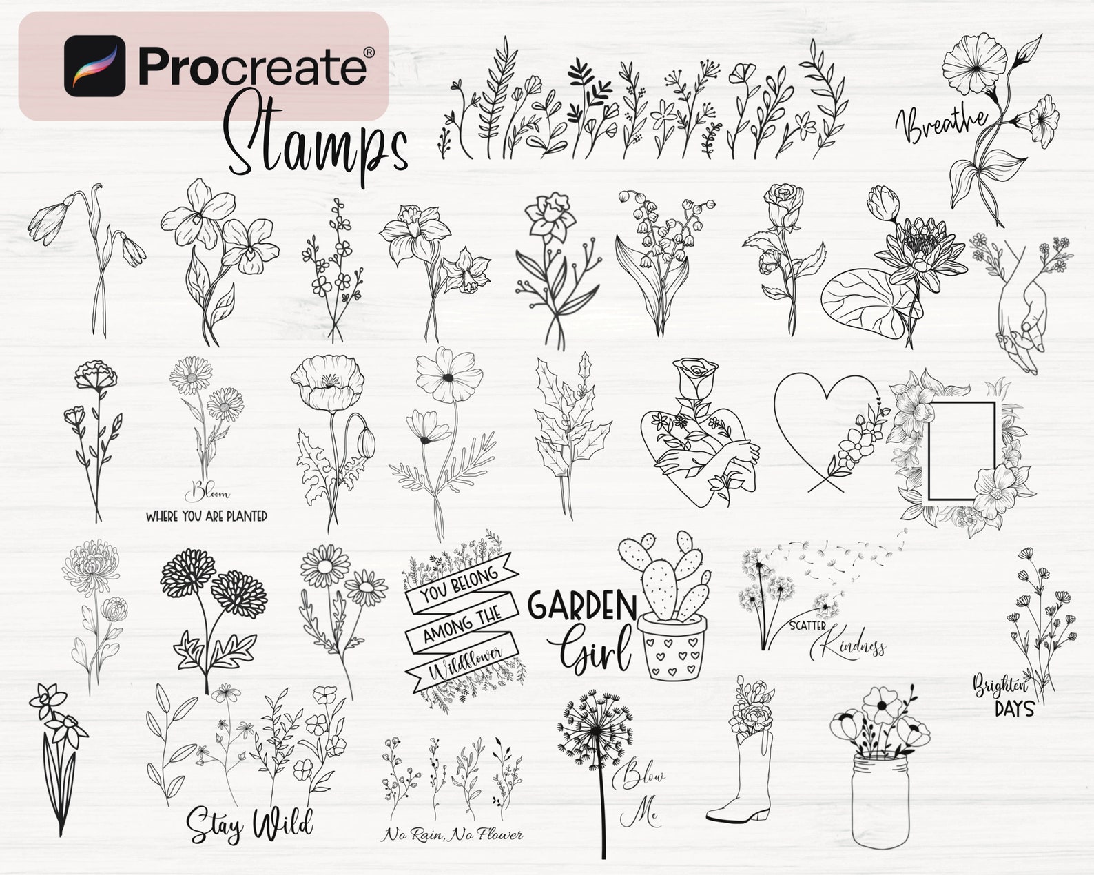 Procreate Wildflower Stamps Bundle| 160 Procreate Flower Brushes ...