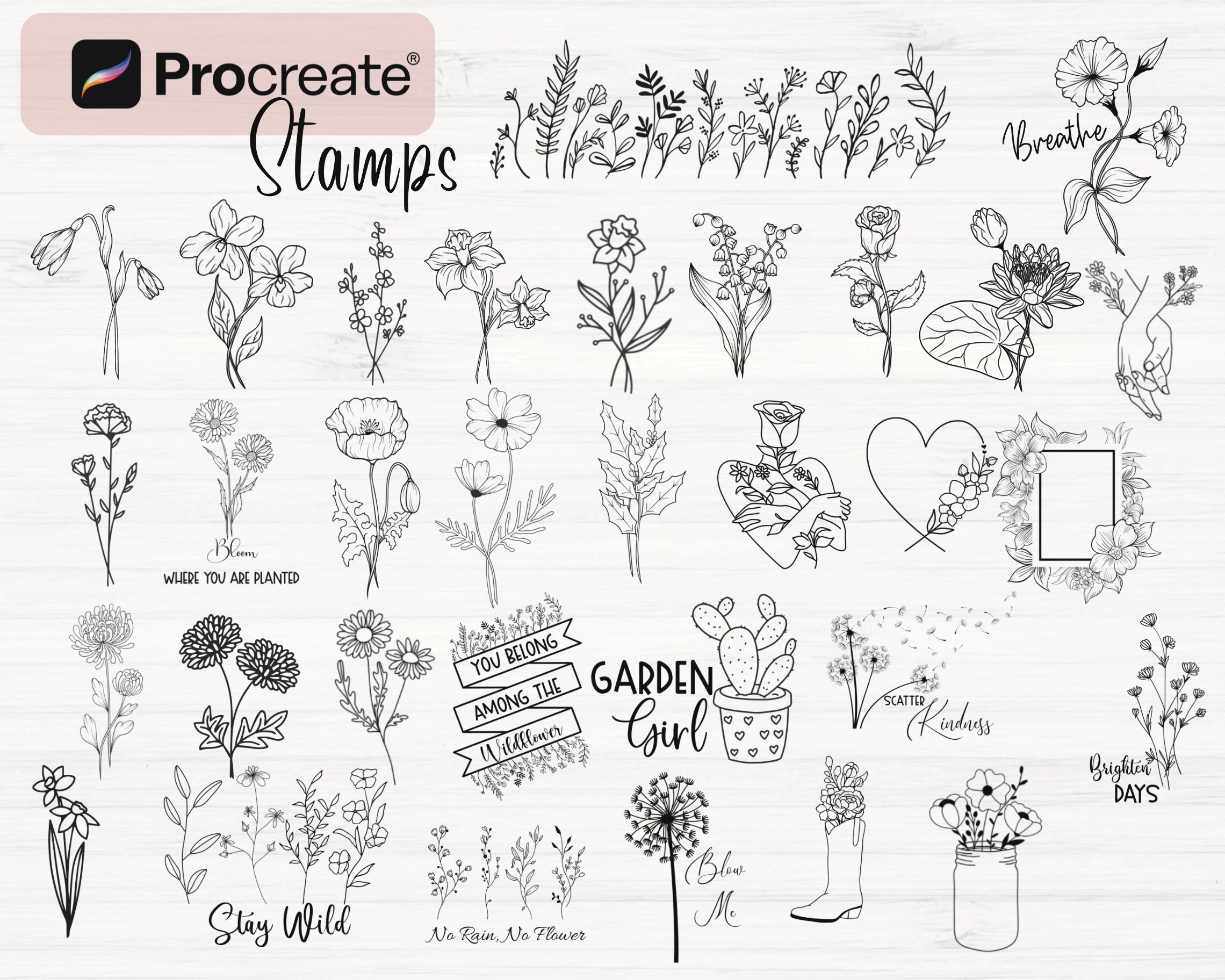 Procreate Wildflower Stamps Bundle| 160 Procreate Flower Brushes ...