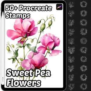 Procreate Sweet Pea Flower Brushes | 50+ Procreate Sweet Pea Flower Stamps | Procreate Brushes | Floral Procreate | Botanical Procreate