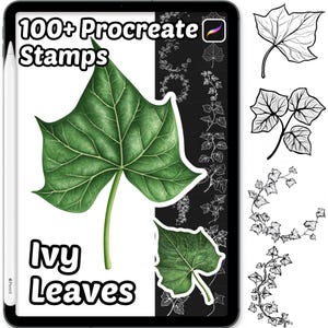 May include: A digital art design displayed on a tablet, featuring a large green ivy leaf with detailed veins. The text "100+ Procreate Stamps" and "Ivy Leaves" is also visible. Additional ivy leaf illustrations are shown.