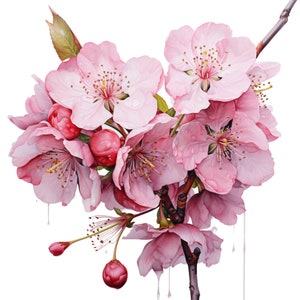 Cherry Blossom Procreate Stamps | 100+ Procreate Floral Stamps ...
