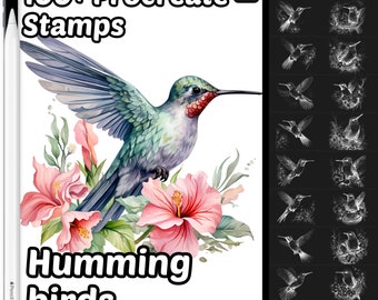 Hummingbirds Animal Procreate Stamps | 100+ Birds Animal Procreate brushes | Procreate stamps | Nature Procreate | Wildlife Procreate stamp