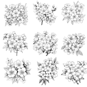 Cherry Blossom Procreate Stamps | 100+ Procreate Floral Stamps ...