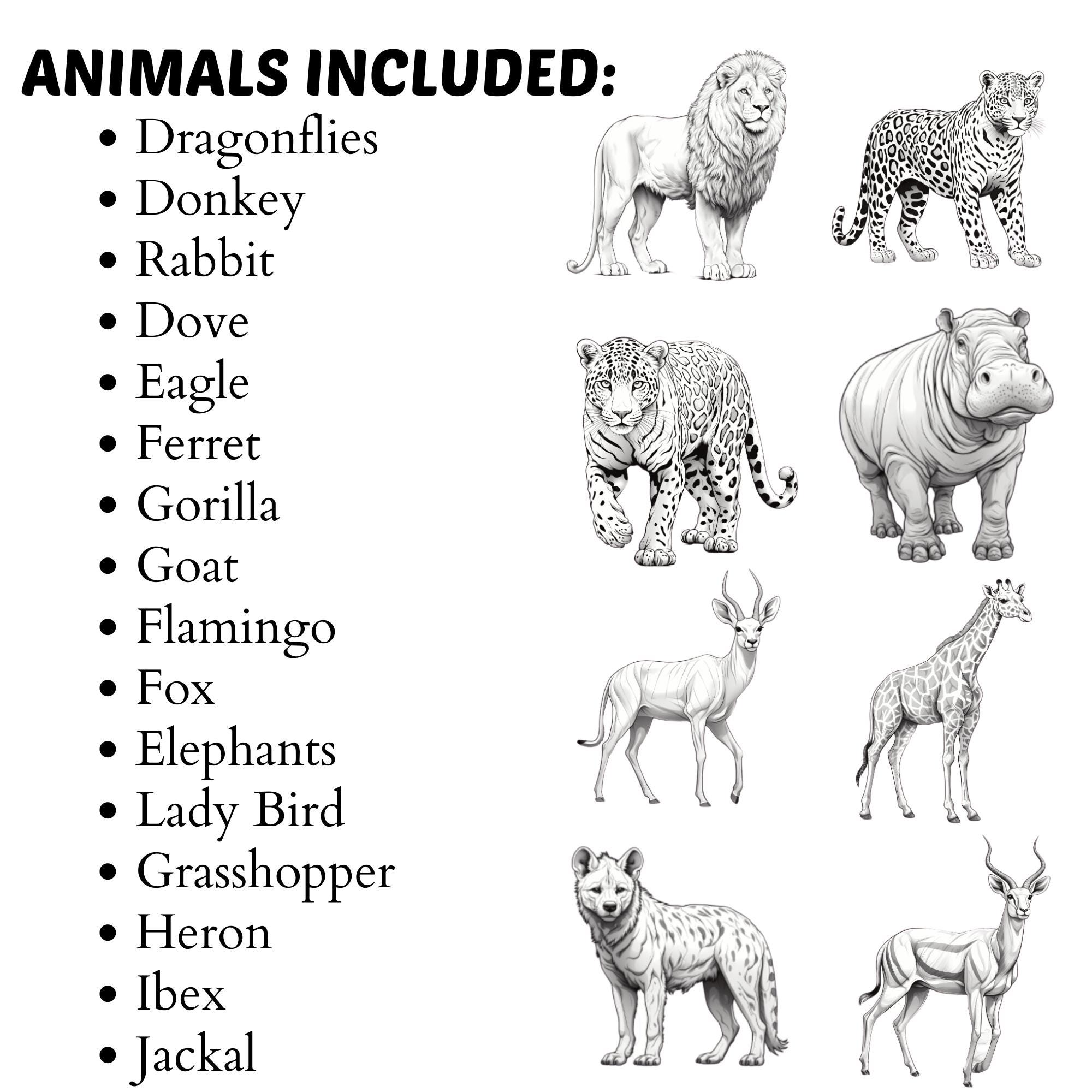 Animals Bundle Procreate Brushes | 3200+ Animals Procreate Brushes ...