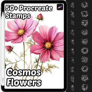 Pode incluir: Uma ilustração digital de flores de cosmos rosa sobre um fundo branco. O texto "50+ Procreate Stamps Cosmos Flowers" é exibido no topo da imagem. A imagem é um download digital para uso no aplicativo Procreate.