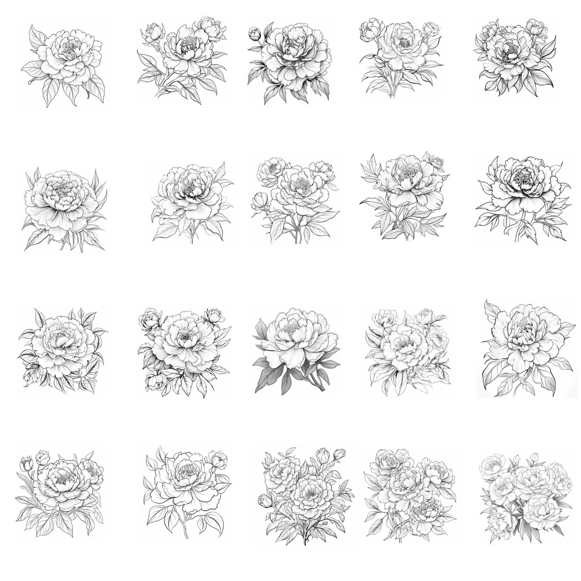 Peony Flower Procreate Stamps | 100 Procreate Floral Stamps | Procreate ...