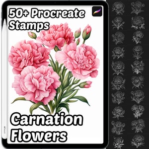 Carnation Flower Procreate Stamps | 50+ Procreate Floral Stamps | Procreate Brushes | Flower Procreate Brushes | Botanical Procreate Stamps