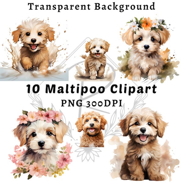 Maltipoo Dog Breed Clipart| 10 High-Quality PNG Watercolor Maltipoo Dog Clipart | Sublimation design | Maltipoo Dog | Dog Lover | Dog Mom 1