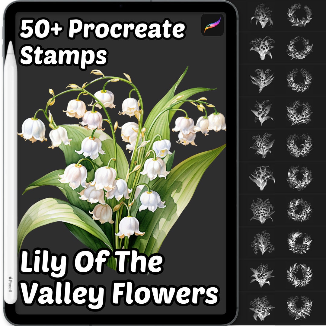 Procreate Lily of the Valley Flower Brushes | 50+ Procreate Lily of the ...