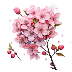 Cherry Blossom Procreate Stamps | 100+ Procreate Floral Stamps ...