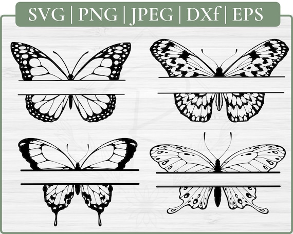 Butterfly Svg Bundle Butterfly Monogram Svg Bundle | Etsy