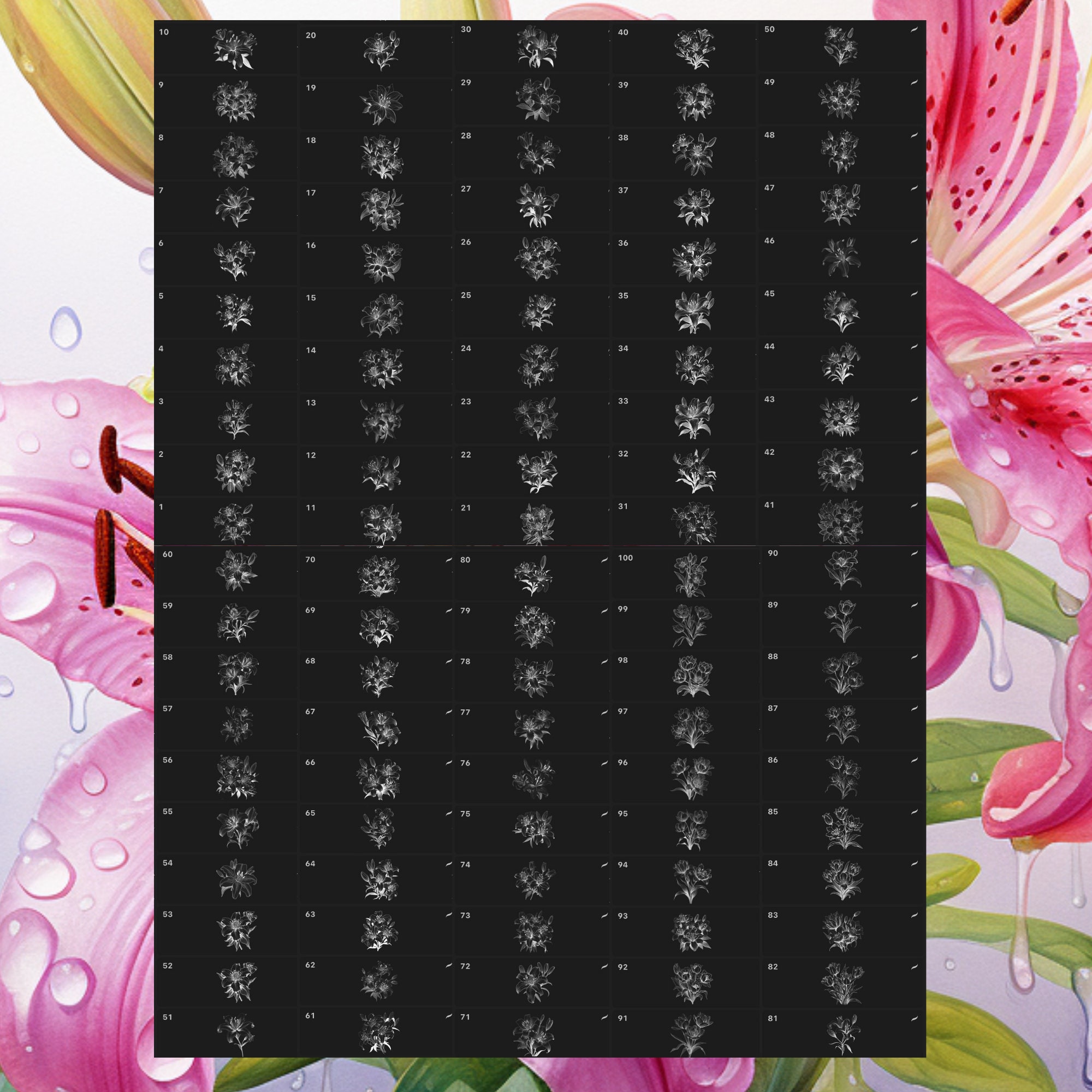 Lily Flower Procreate Stamps | 100 Procreate Floral Stamps | Botanical ...
