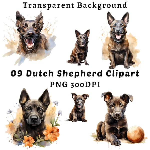 Dutch Shepherd Dog Breed Clipart| 10 High-Quality PNG Watercolor Dutch Shepherd Dog Clipart | Sublimation Design | Dog Lover | Dog Mom