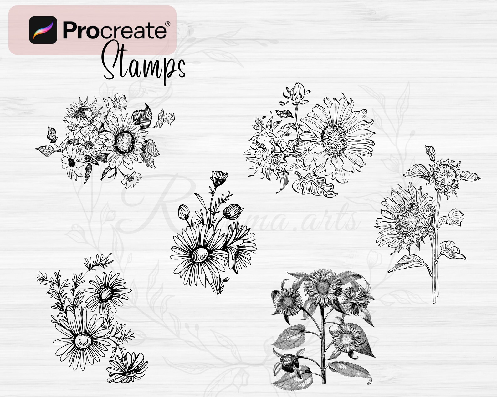 Sunflower Procreate Stamps | 84 Sunflower Procreate Brushes | Floral ...