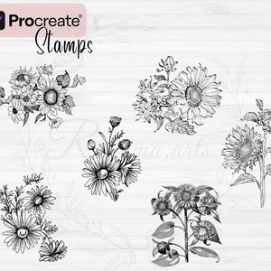 Sunflower Procreate Stamps | 84 Sunflower Procreate Brushes | Floral ...