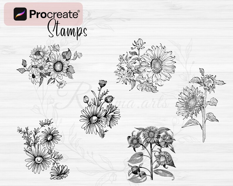Sunflower Procreate Stamps | 84 Sunflower Procreate Brushes | Floral ...