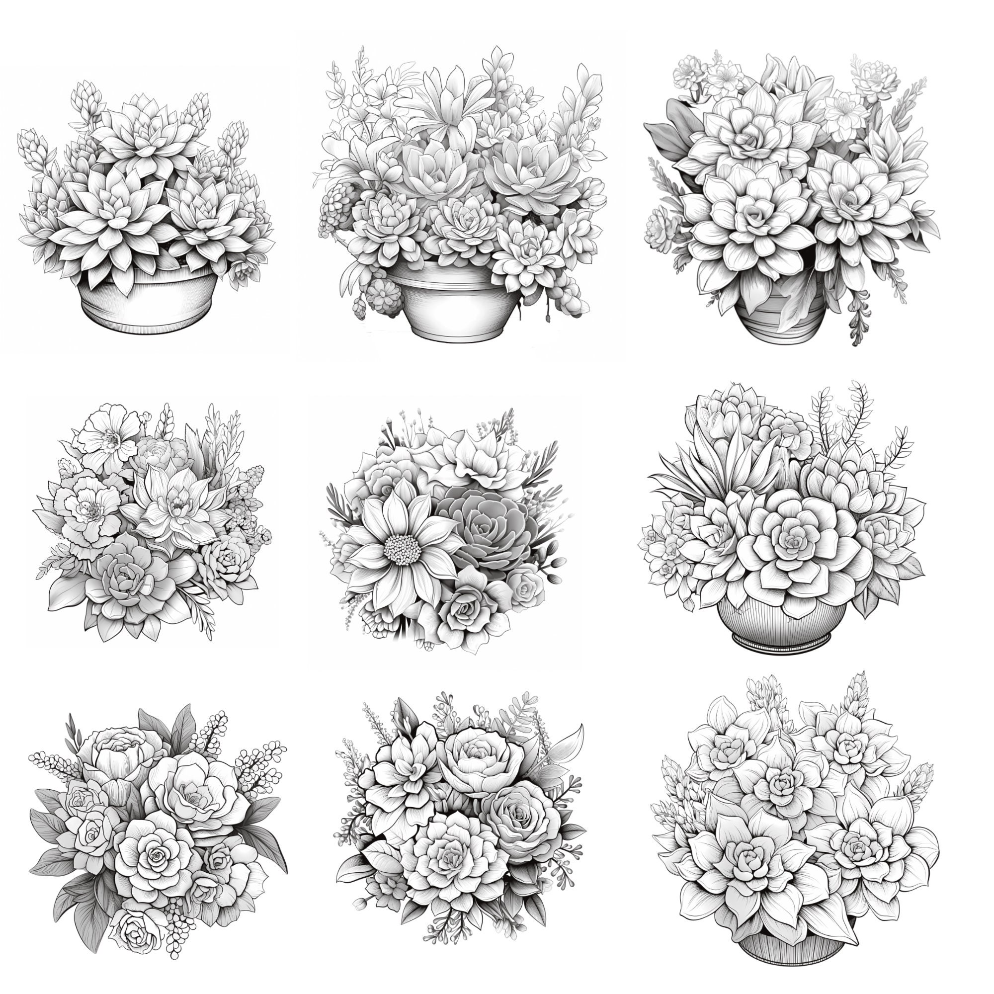 Succulents Procreate Brushes | 100+ Procreate Cactus Stamps | Procreate ...