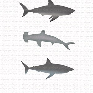 Shark watercolor PNG, kids sublimation, sharks