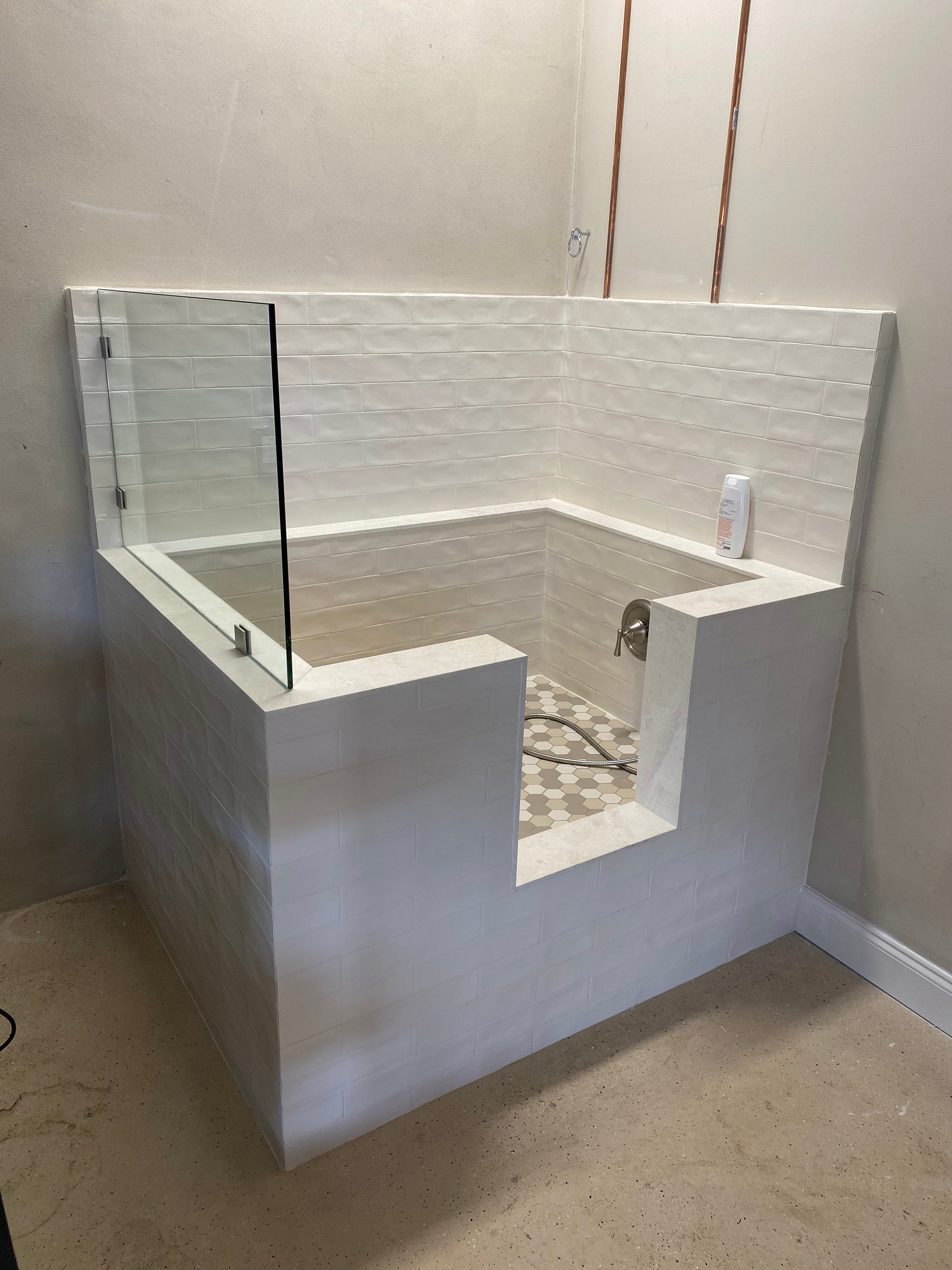 Where Can I Take My Dog To Shower at Gregory Jefferson blog