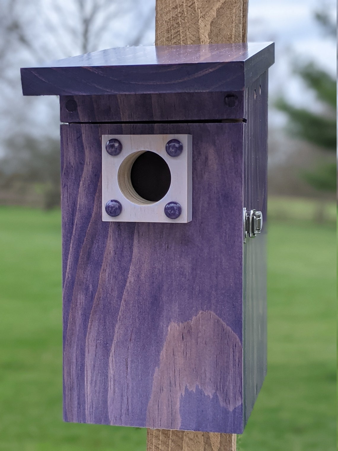 Bluebird and Tree Swallow Nesting Box Birdhouse Etsy