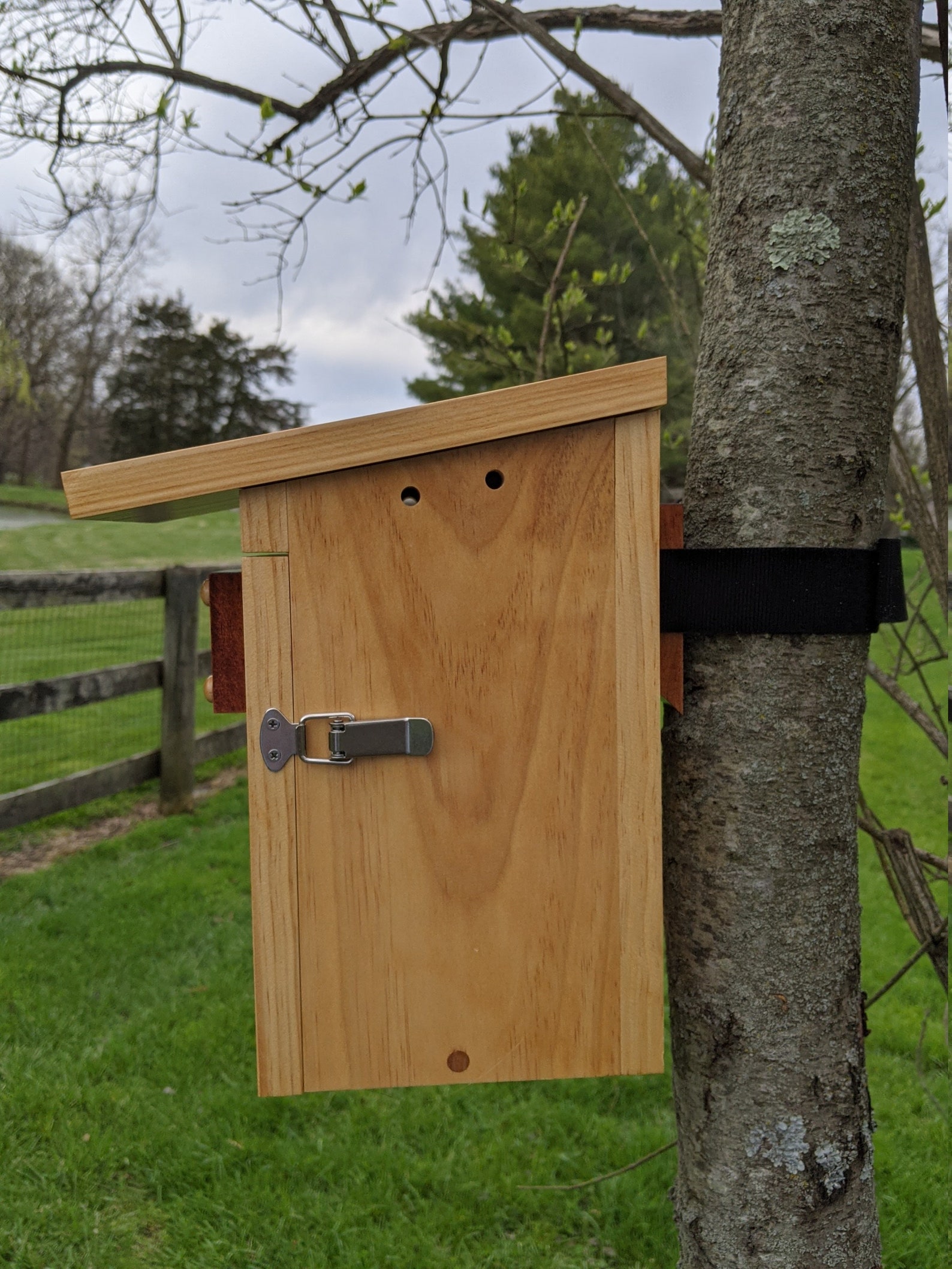 Bluebird and Tree Swallow Nesting Box Birdhouse Etsy