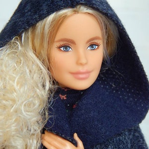 Pode incluir: Uma boneca loira com olhos azuis vestindo um su&eacute;ter azul escuro com capuz.