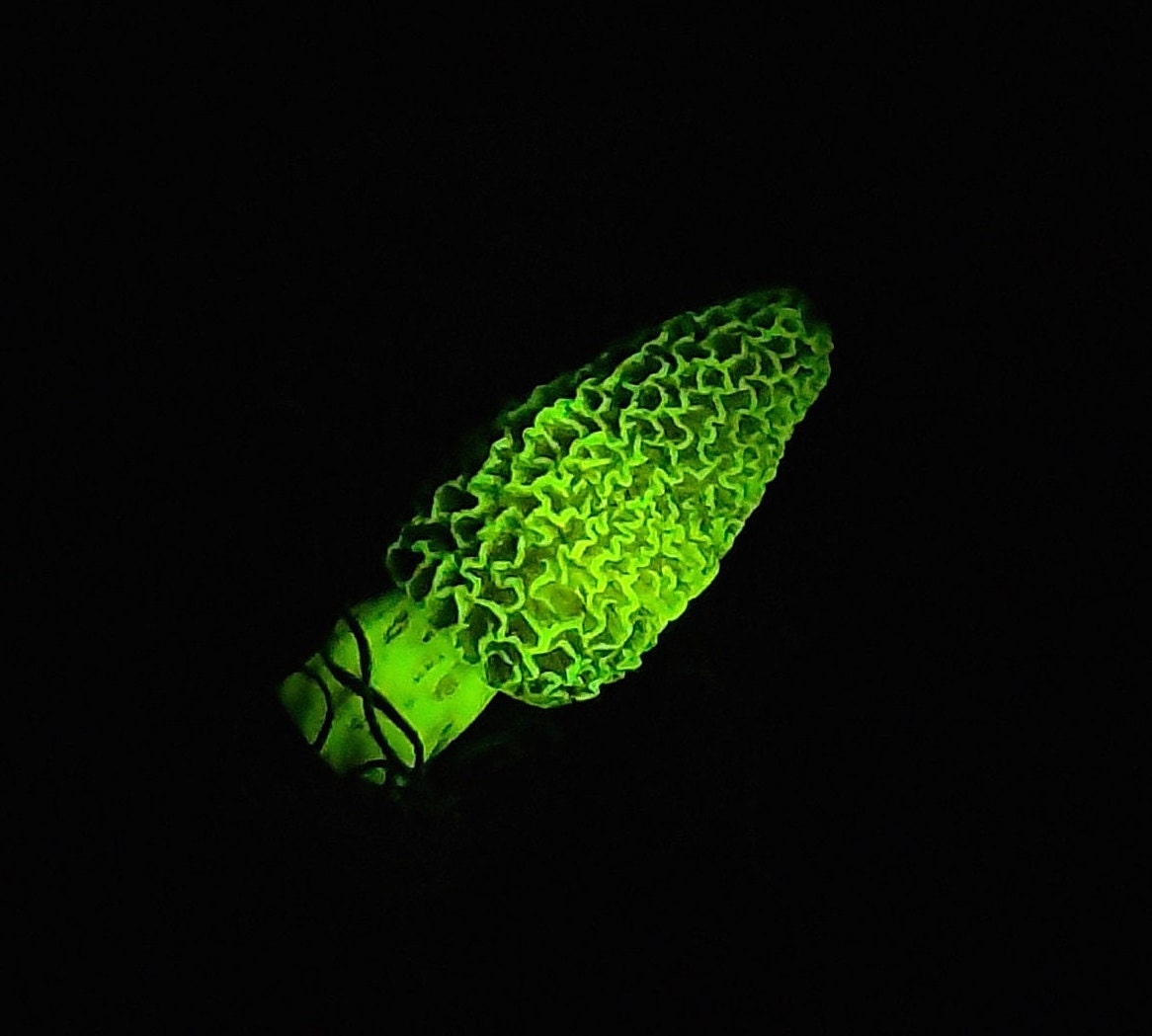 Glow in the Dark Morel Mushroom Ornament. Hand Sculpted. Comes With Uv