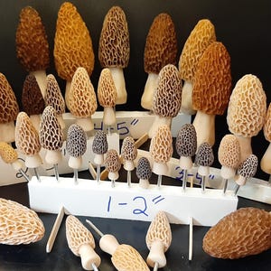 Bulk Morel Mushroom Figurines