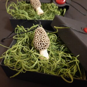 Morel Mushroom Charm / Pendant & Gift Box Set