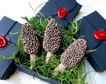 3 pack bundle of 3" Morel Mushroom Magnets with Gift Boxes. Great gifts! Save 14.99 plus free shipping!