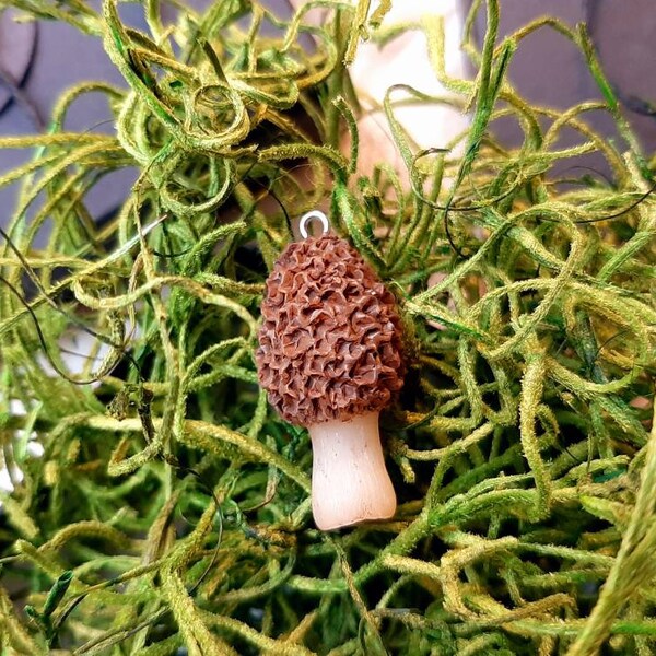 Morel Mushroom Etsy