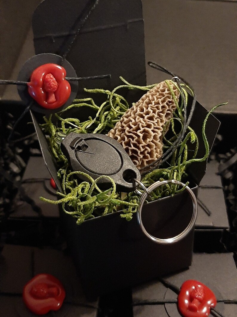 Glow in the Dark Morel Mushroom Ornament. Hand Sculpted. Comes With Uv