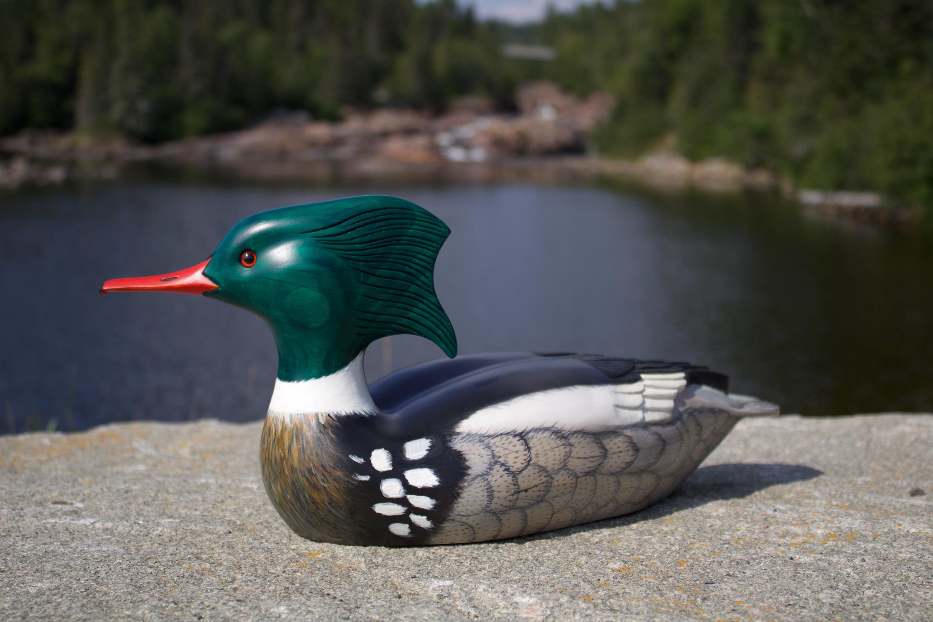 Marshland Decoys製 ルーン 水鳥 木彫デコイ カナダ '86 il_fullxfull.8426682137_rhlm.jpg