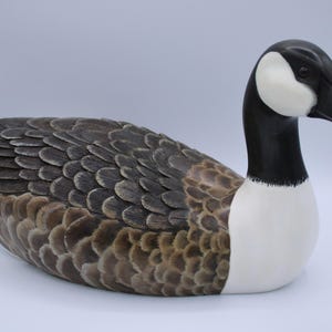 Carved Canada Goose Decorative decoy
