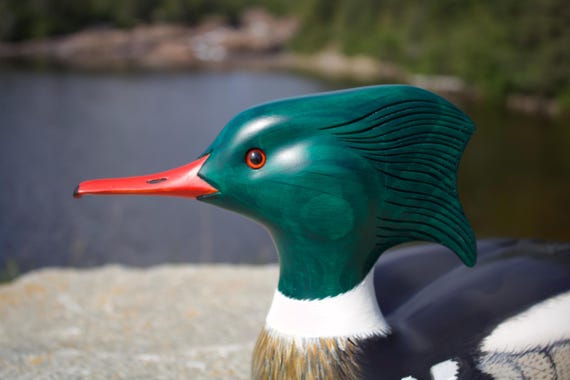 Red Breasted Merganser Duck Decoy - Etsy