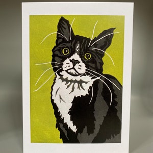 Black and white tuxedo cat blank greetings card, cat lovers card