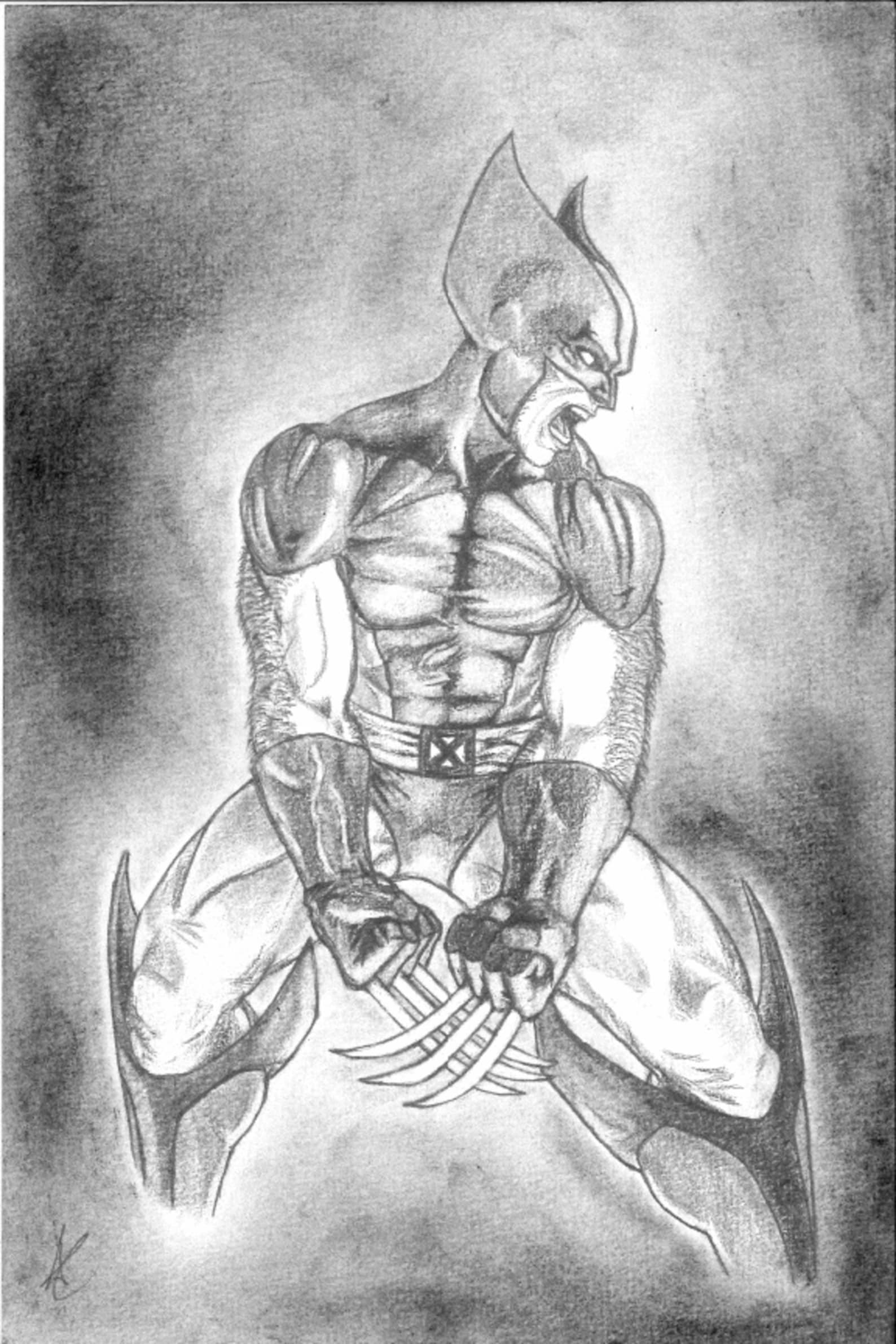 Wolverine 9X12 Pencil Sketch Print Etsy