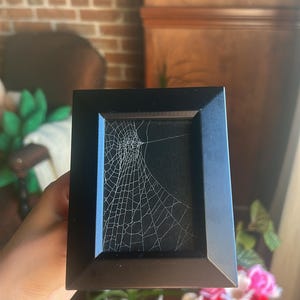 Preserved Spiderweb