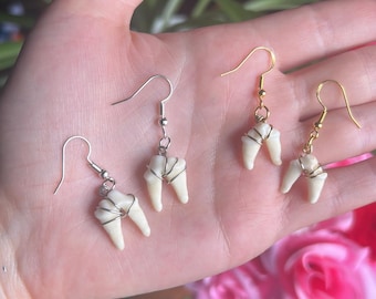 Coyote Tooth earrings - Real Wire wrapped teeth