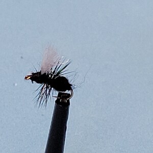 Fur ant