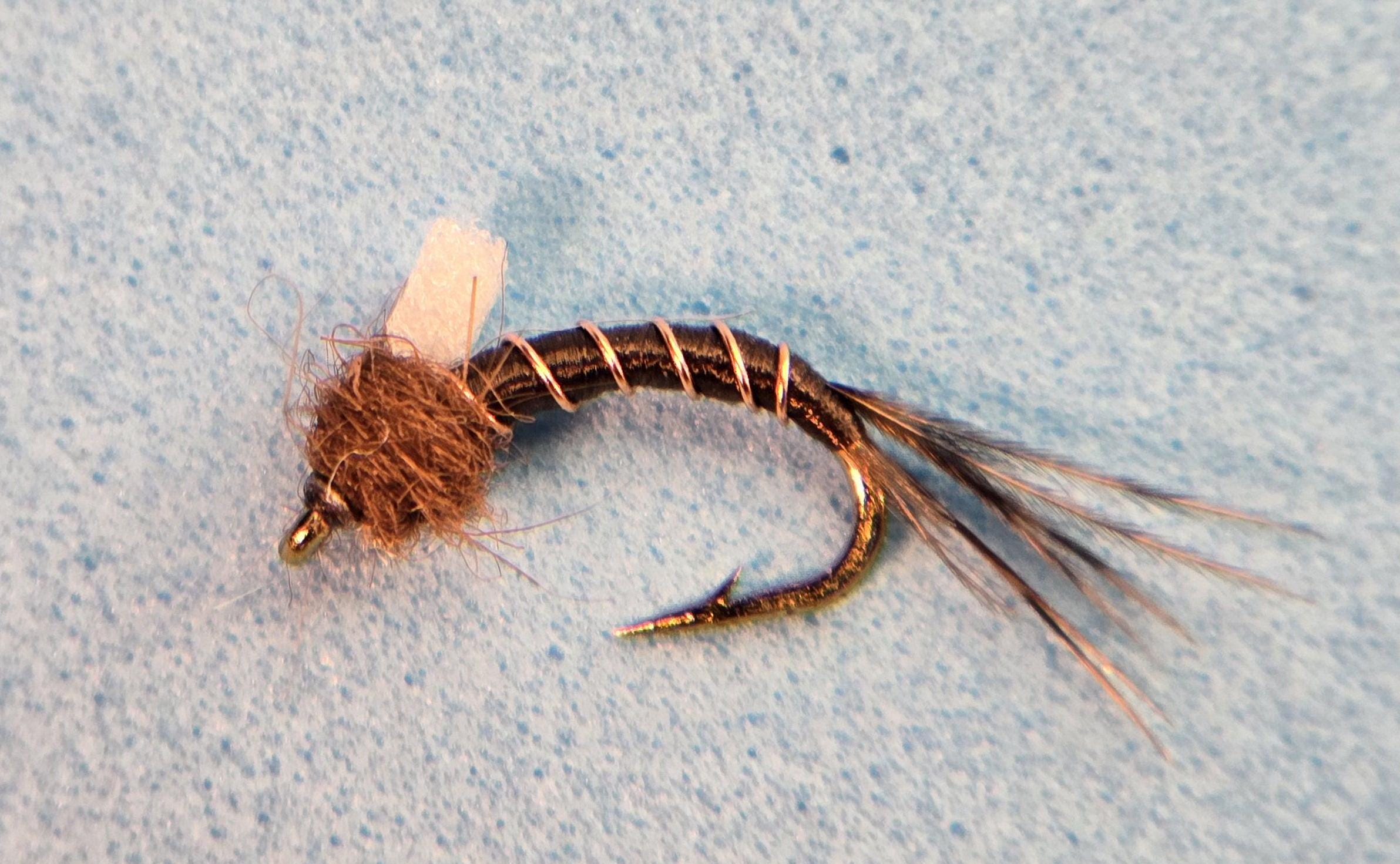 Chocolate Thunder Foamback Emerger