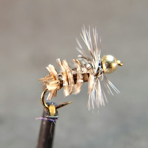 May include: A close-up of a fishing fly with a gold-colored bead head and a hook. The fly has a segmented body made of light brown and tan materials, with feathery wings extending from the sides. The hook is black and gold.