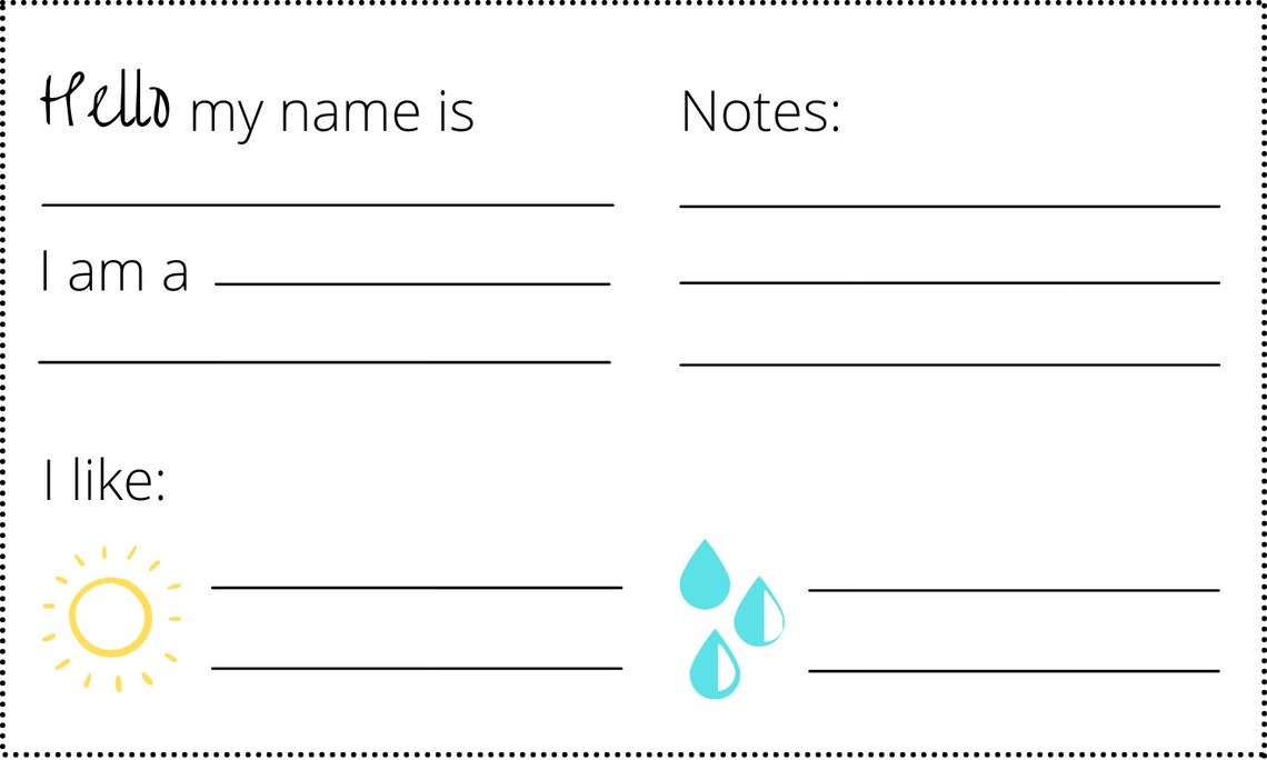 Plant Care Tag Printable Instant Download Etsy