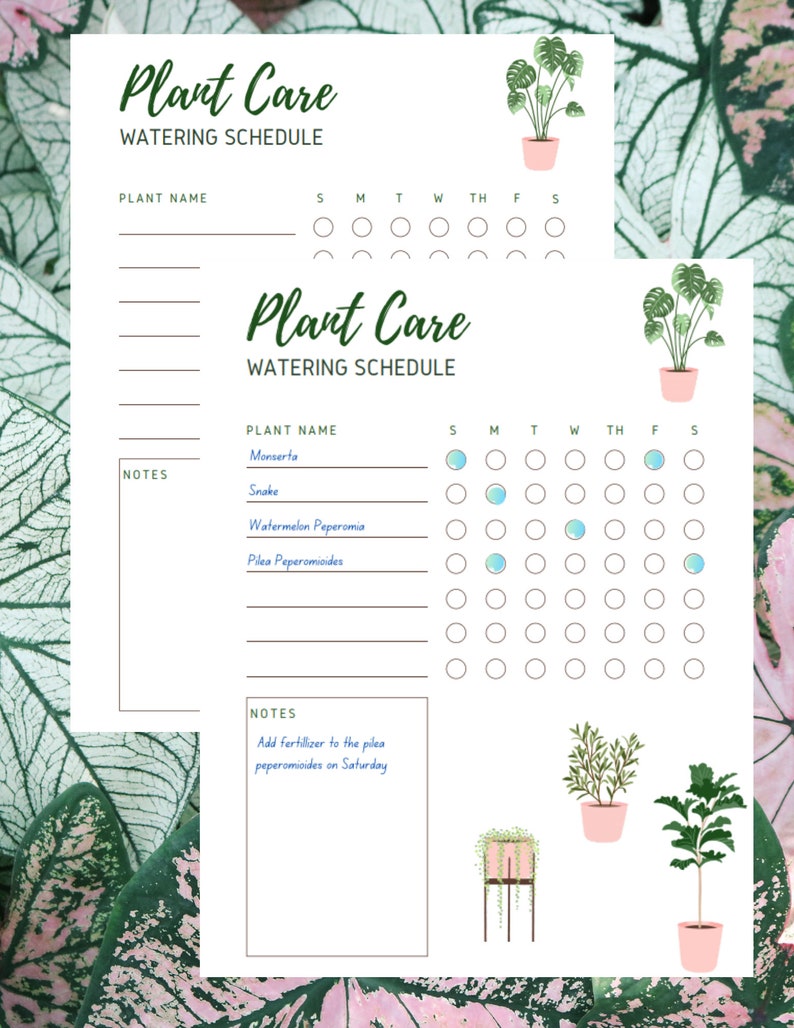 plant-care-water-and-fertilizer-tracker-plant-care-schedule